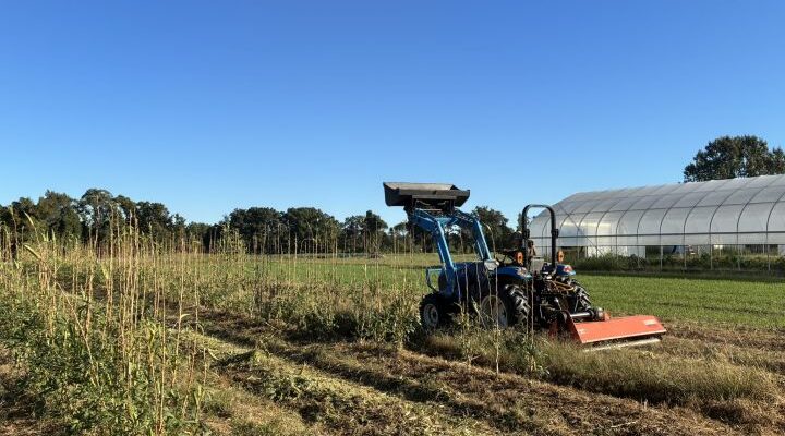 Farm Party and Potluck this Sunday!