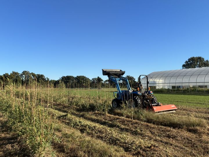 Farm Party and Potluck this Sunday!