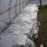 bundling up the greenhouse for a night in the teens