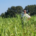 Jo standing in the Sorghum Sudan grass cover crop Oct 9