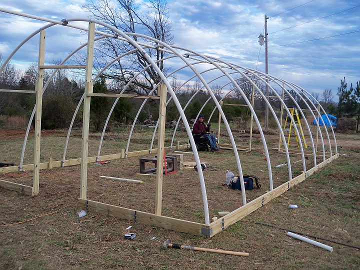 Building the Greenhouse