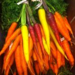 Tubby Creek Farm multi colorered bunches of carrots