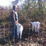 Josephine Alexander and our new LGDs Maggie and Winston at Tubby Creek Farm