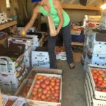 Rosie Hunt sorting and weighing tomatoes at Tubby Creek Farm