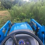 View from the tractor, mowing down tall brush