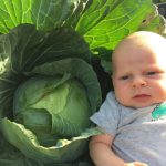 Cooper and the cabbage