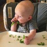 Cooper loves eating, this steamed broccoli didnt last long