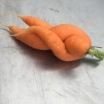 Carrot still life: Intimate Moments