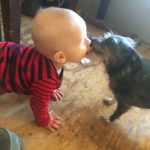 Cooper kissin his dog Georgia