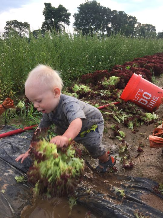 Cooper "Washing" the lettuce he "harvested"