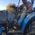 Randy Alexander on his tractor with his faithful tractor dog Georgia