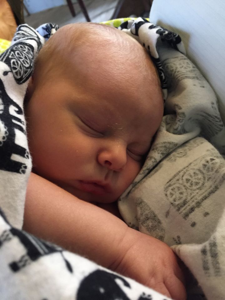 The Baby is Here, Farm Update and More!