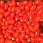 10# Box of plum tomatoes