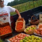 Intern from Project Green Fork came out and helped by picking tomatoes